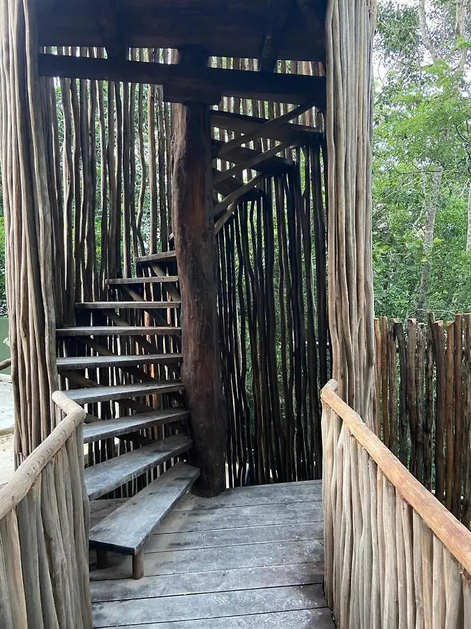 Bed and Breakfast Loba Tulum Male Only Messico