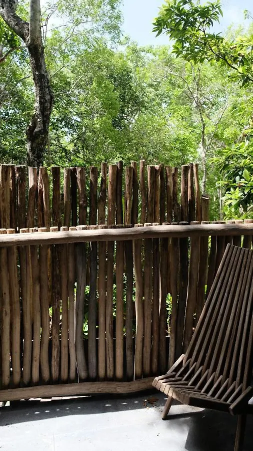 Bed and Breakfast Loba Tulum Male Only Bed & Breakfast