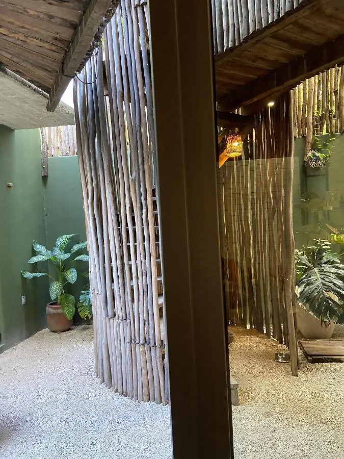 Bed and Breakfast Loba Tulum Male Only Отель типа 