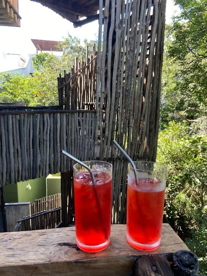 Bed and Breakfast Loba Tulum Male Only Мексика